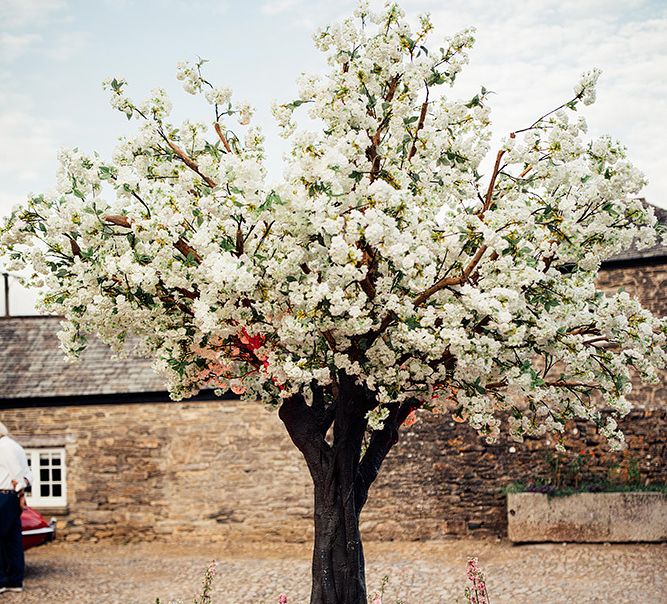 Blossom tree at Kingston Estate, Devon