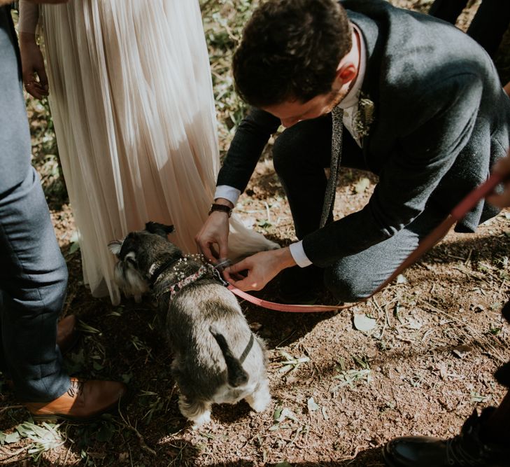 Dog Ring Bearer For Wedding // Image By Enchanted Brides Photography