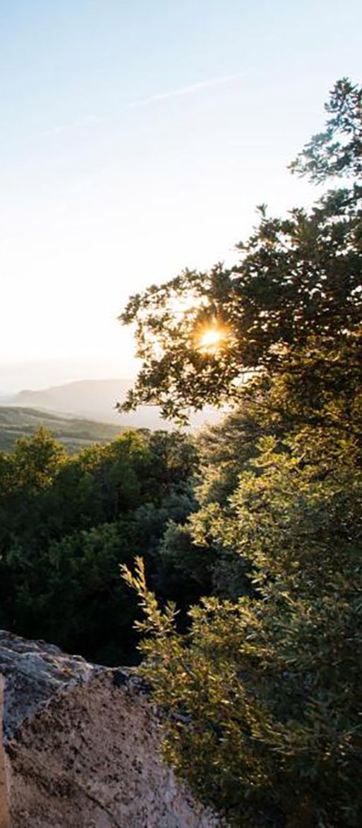 Borgo Pignano Tuscany autumn honeymoon hotel idea in Tuscany, Italy