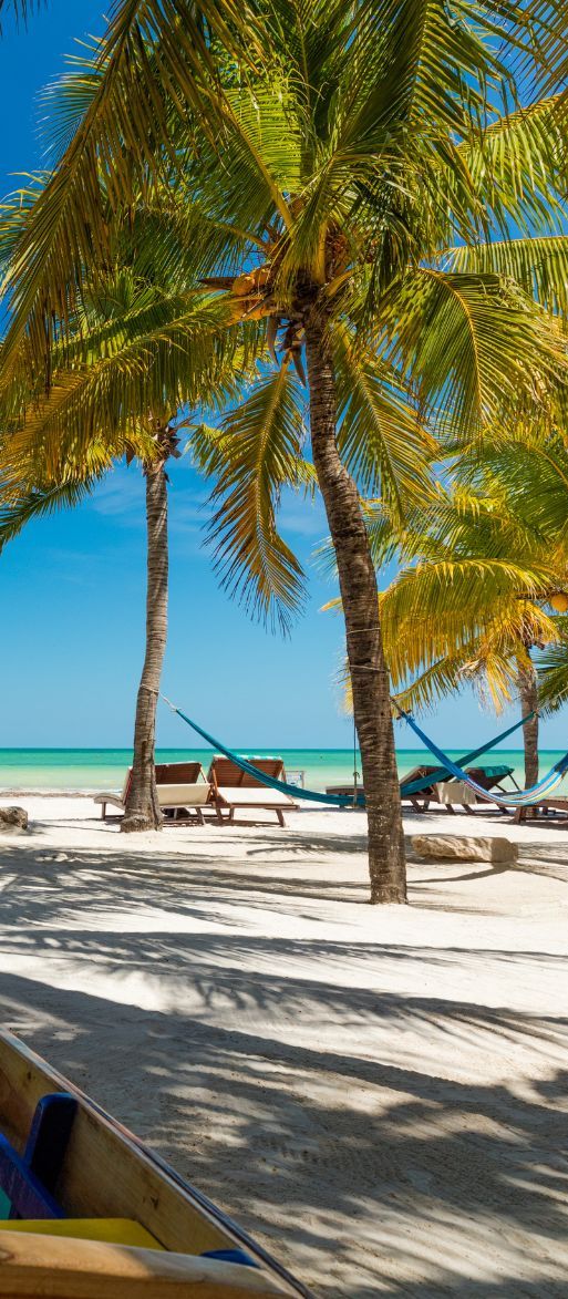 Palm tree lined beach with blue skies and wooden boat for beach honeymoon in Isla Holbox, Mexico