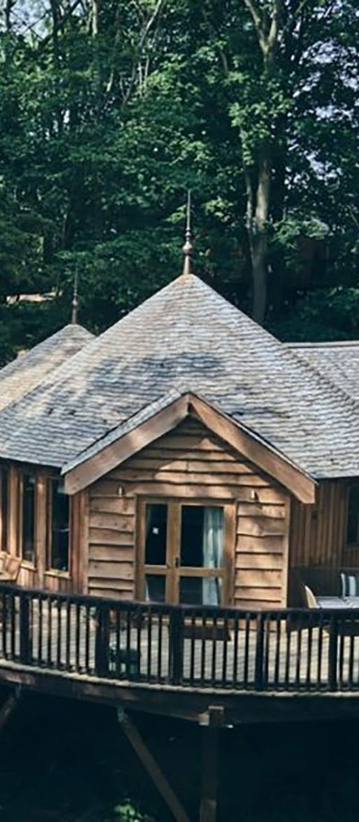 Treehouse accommodation at Wildhive Callow Hall, minimoon destination in Peak District