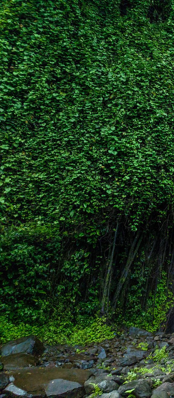 Couple standing beneath a tropical waterfall in Saint Vincent during their Sandals Resorts Caribbean honeymoon