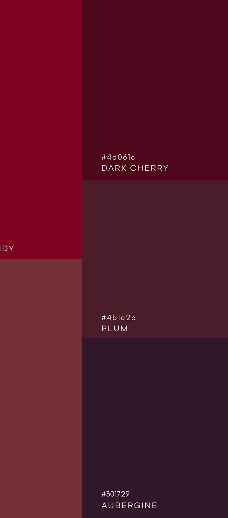 Winter Berry winter colour palette trend by Rock My Wedding, from burgundy to aubergine