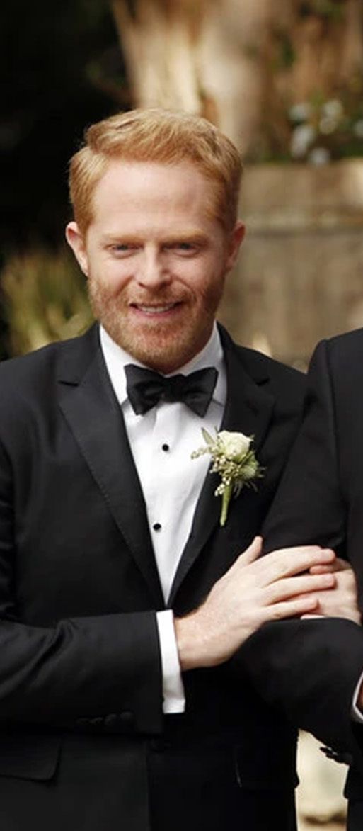 Mitch and Cam Wedding in Modern Family 