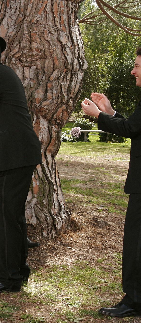 Marshall and Lily Wedding How I Met Your Mother - Best TV Weddings