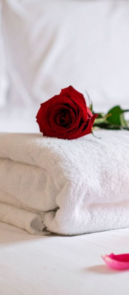Romantic rose and candle on hotel bedding in the honeymoon suite