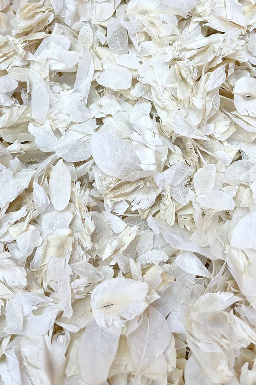 Proper Confetti biodegradable wedding confetti exit for real couple