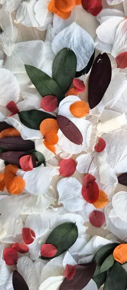 Wedfetti biodegradable wedding confetti mix