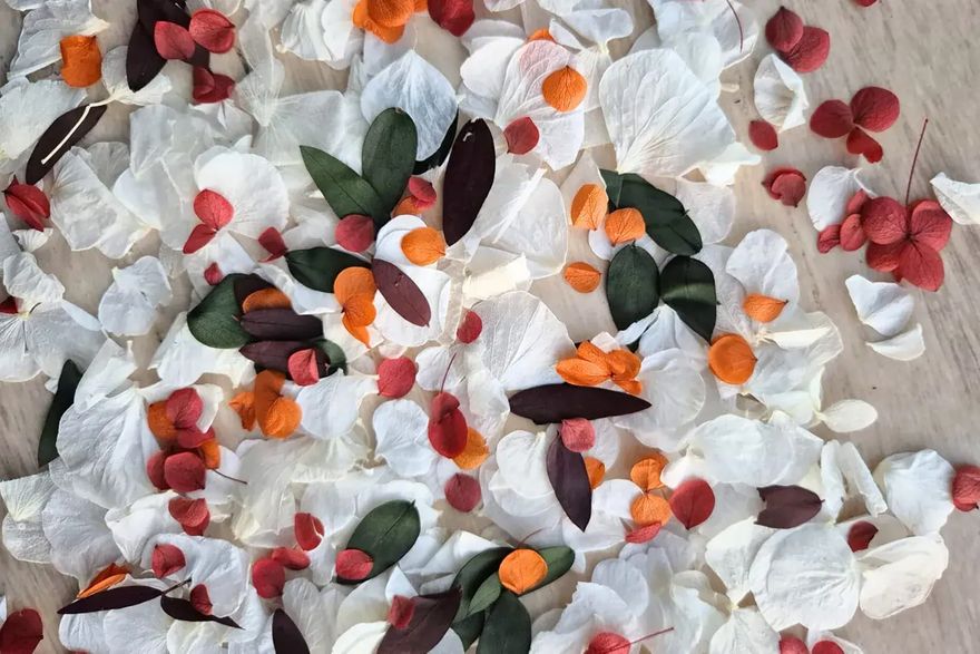 Wedfetti biodegradable wedding confetti mix