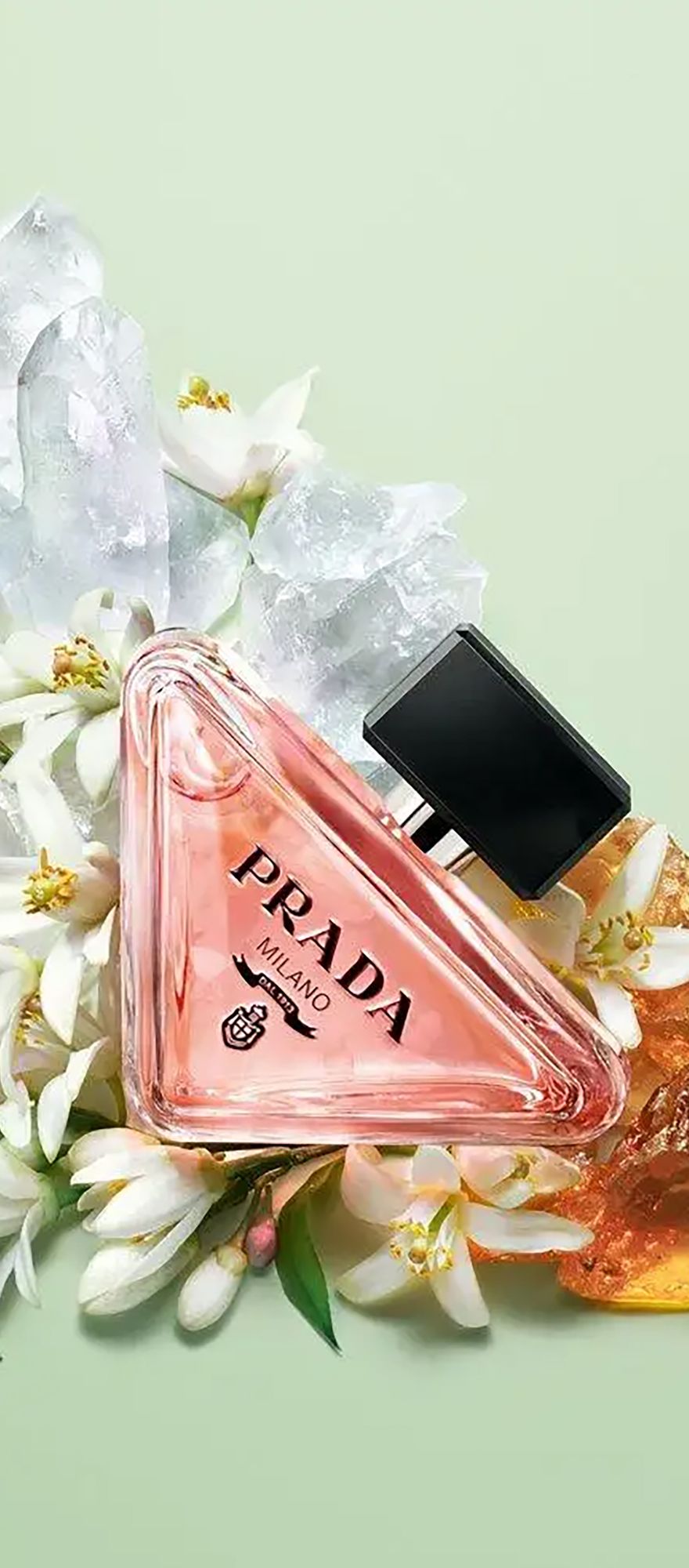 Prada Paradoxe spring wedding perfume